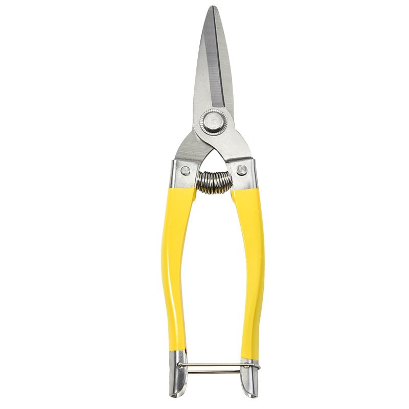 HASTHIP® Straight Pruning Shears HASTHIP® Straight Pruning Shears